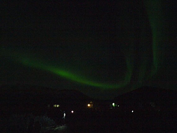 northern lights appear over the ocean