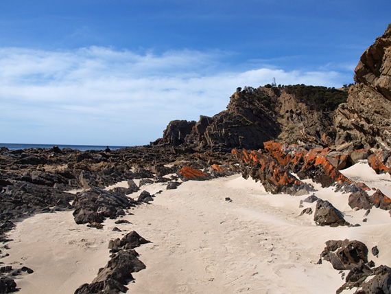 Sunny day at the black rock beach, Australia