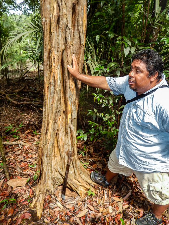 Brazilian nature guide Wayne Mann-Roth